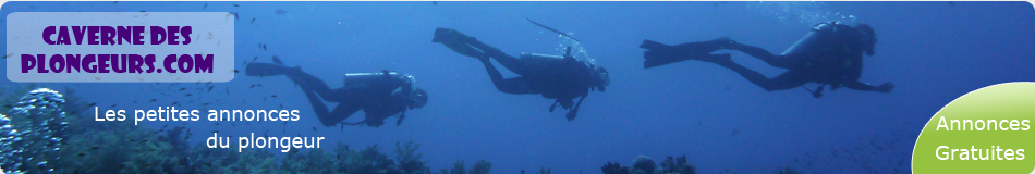 Petites annonces Guadeloupe - cavernedesplongeurs